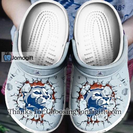 [Popular] Penn State Nittany Lions Tide Crocs Gift